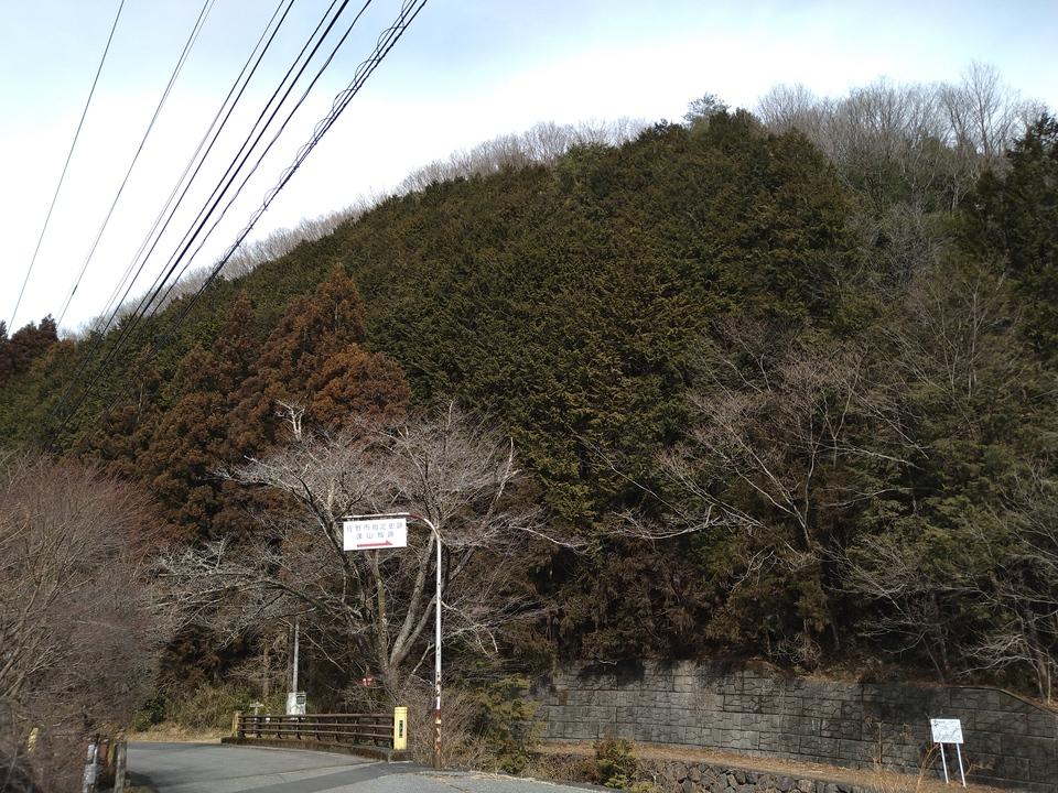 蓬山城
