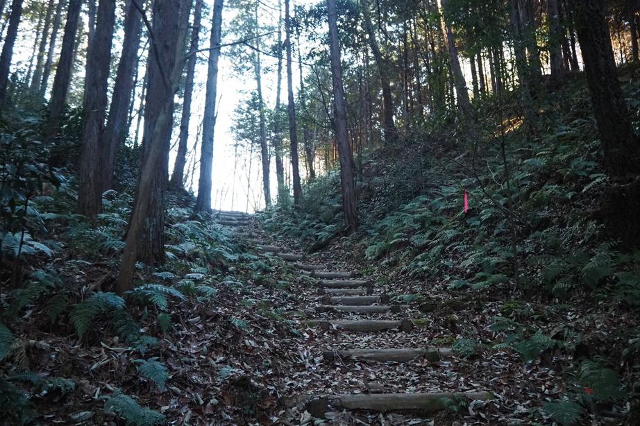 南本城城