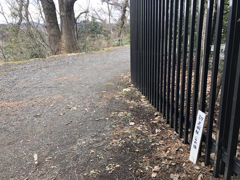 初沢城