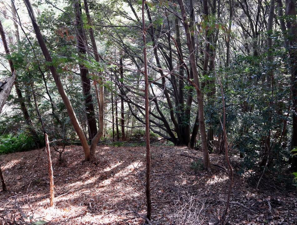 社山城