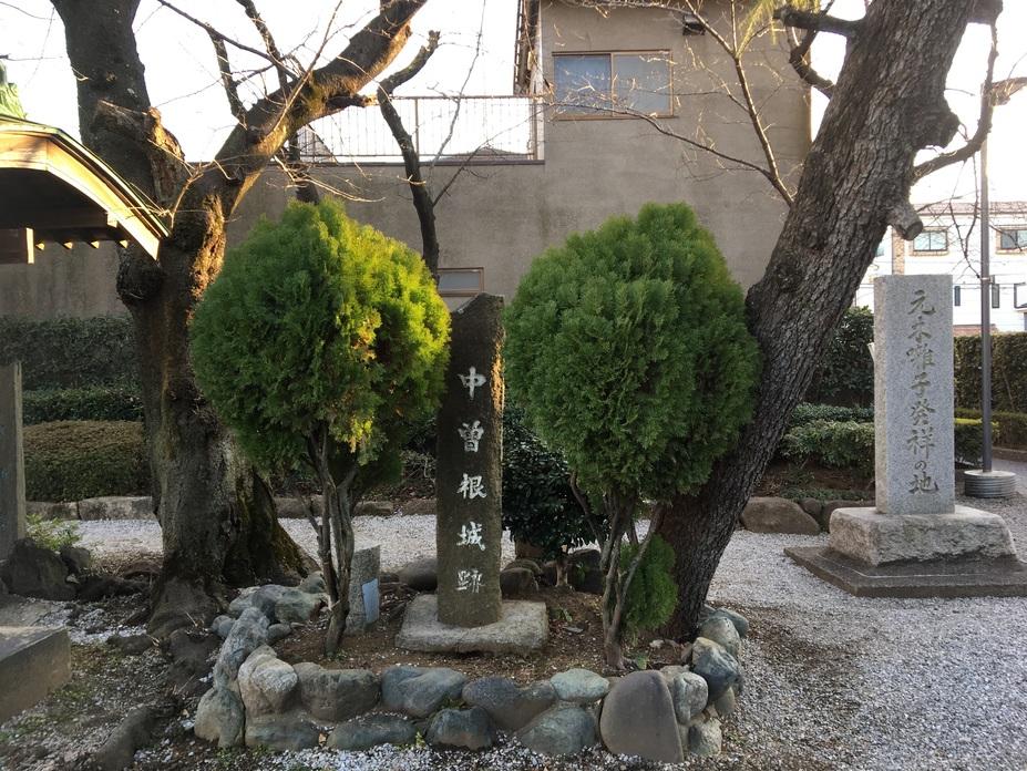 中曽根城