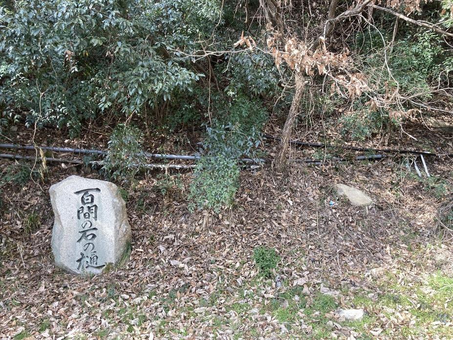 保木城