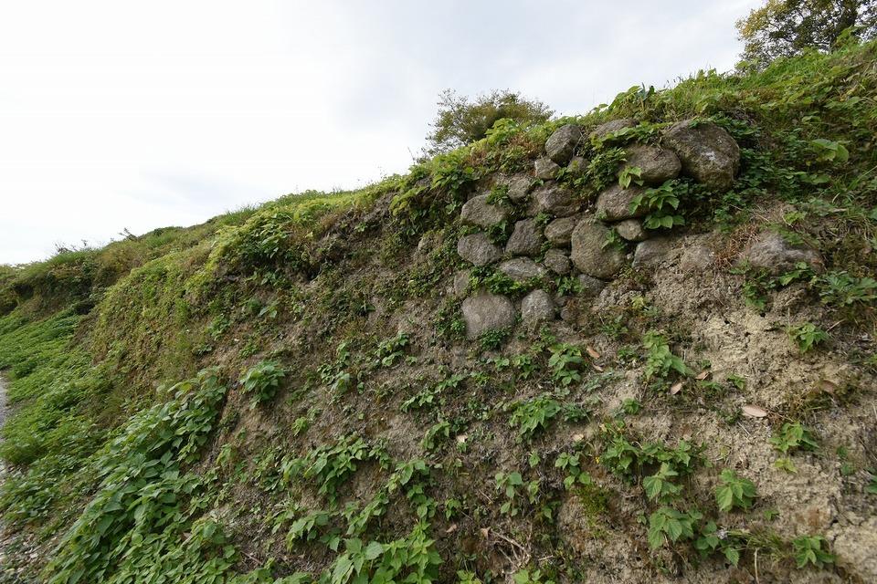 日野江城