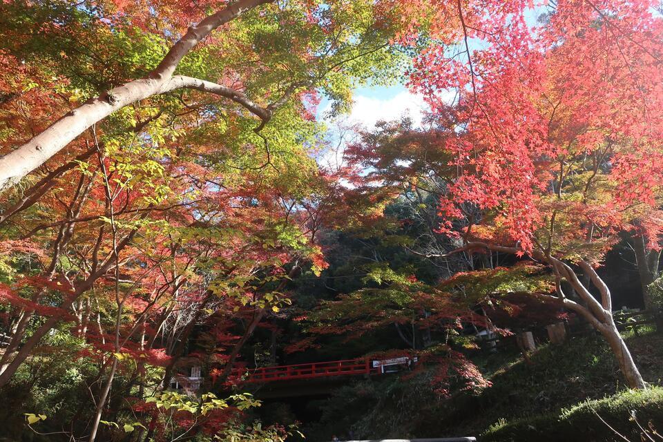 根来寺