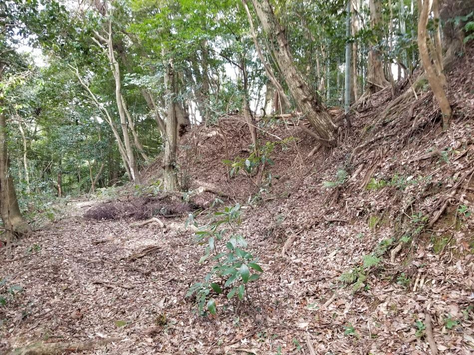 玉造要害山城