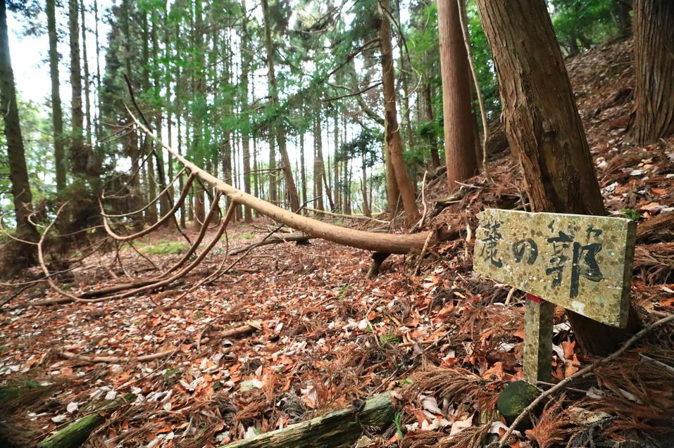 鳶ヶ巣城