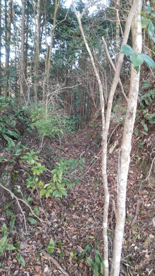 米津城