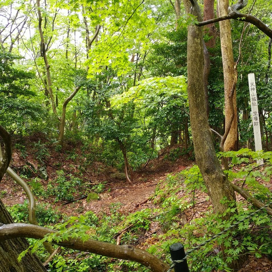 天神山城