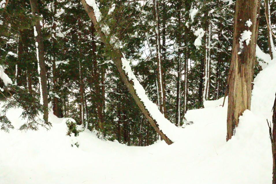 山本山城