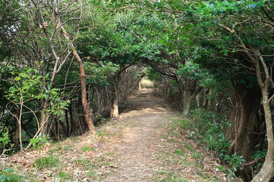 鳶ヶ巣城