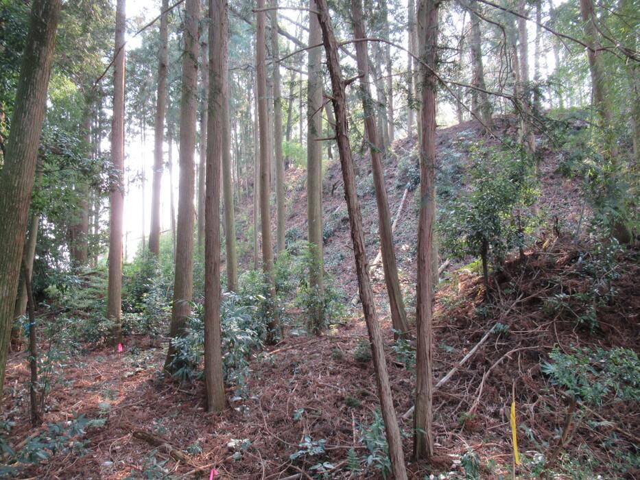 岡本城