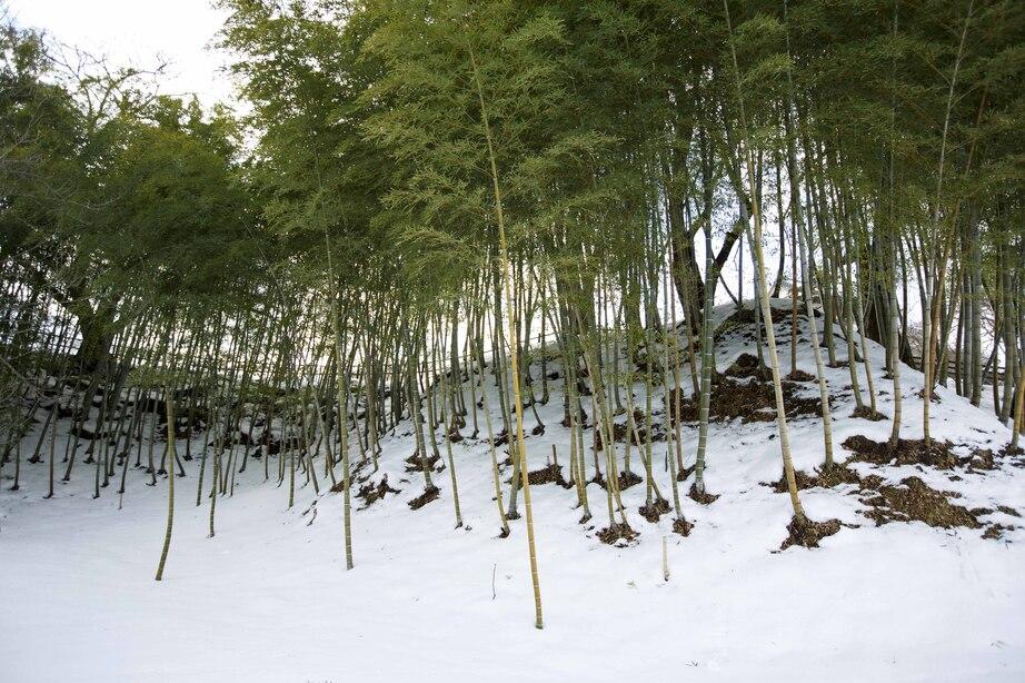 大衡城