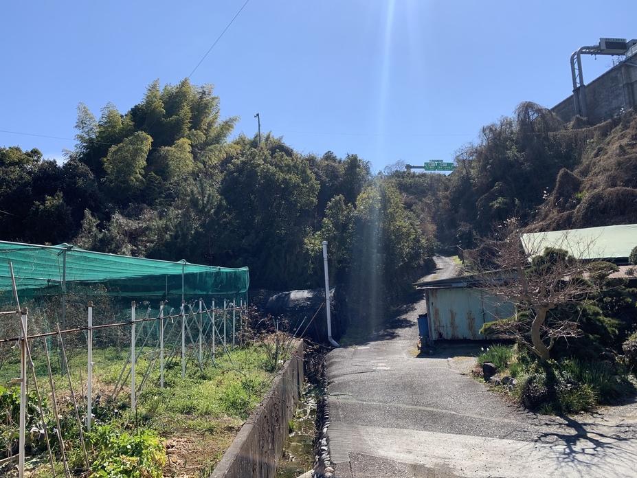 庵原山城