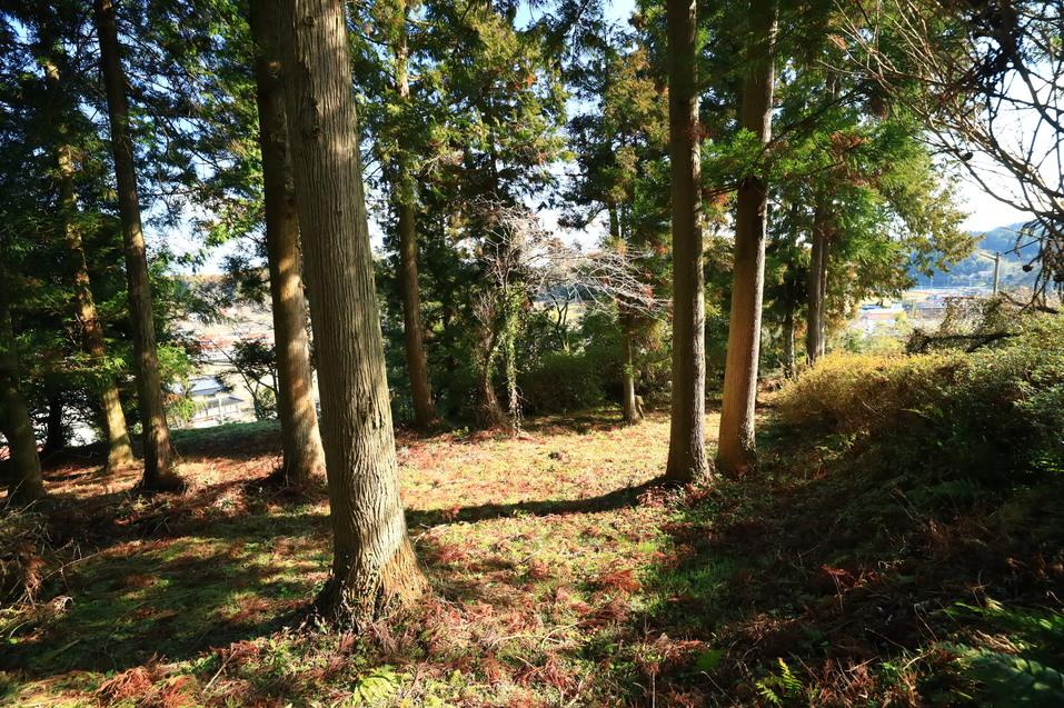 佐世城