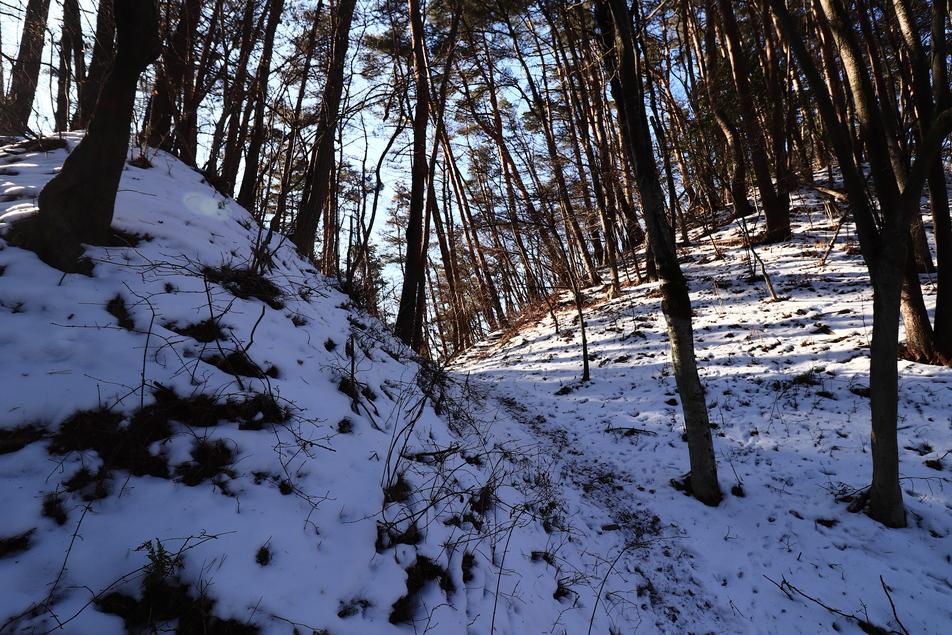 青柳城