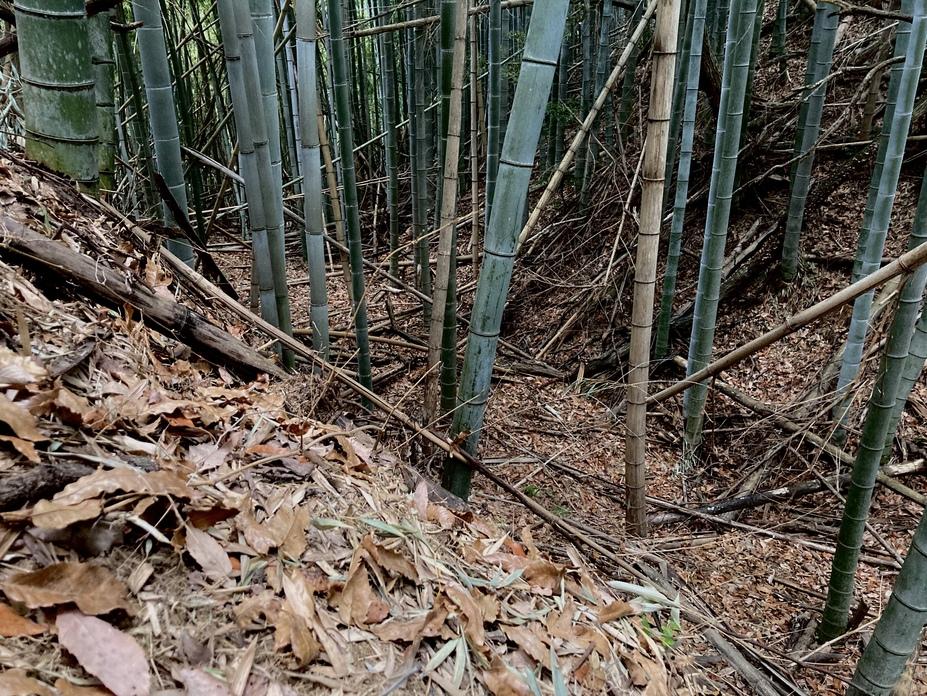 稲八妻城