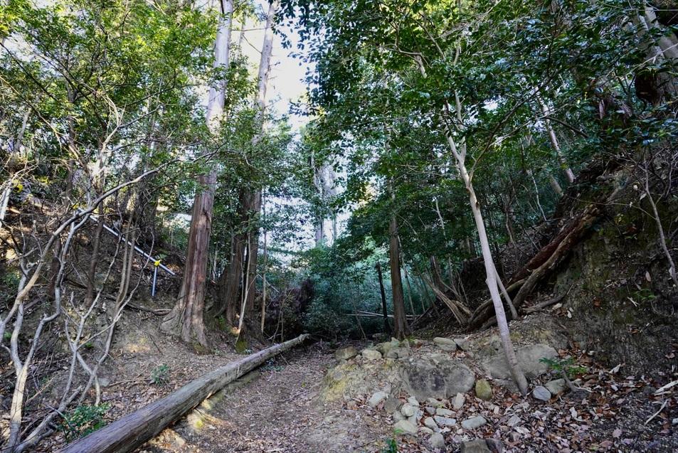 根福寺城