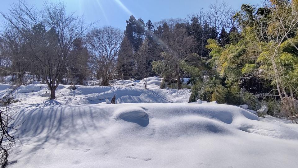 成沢城