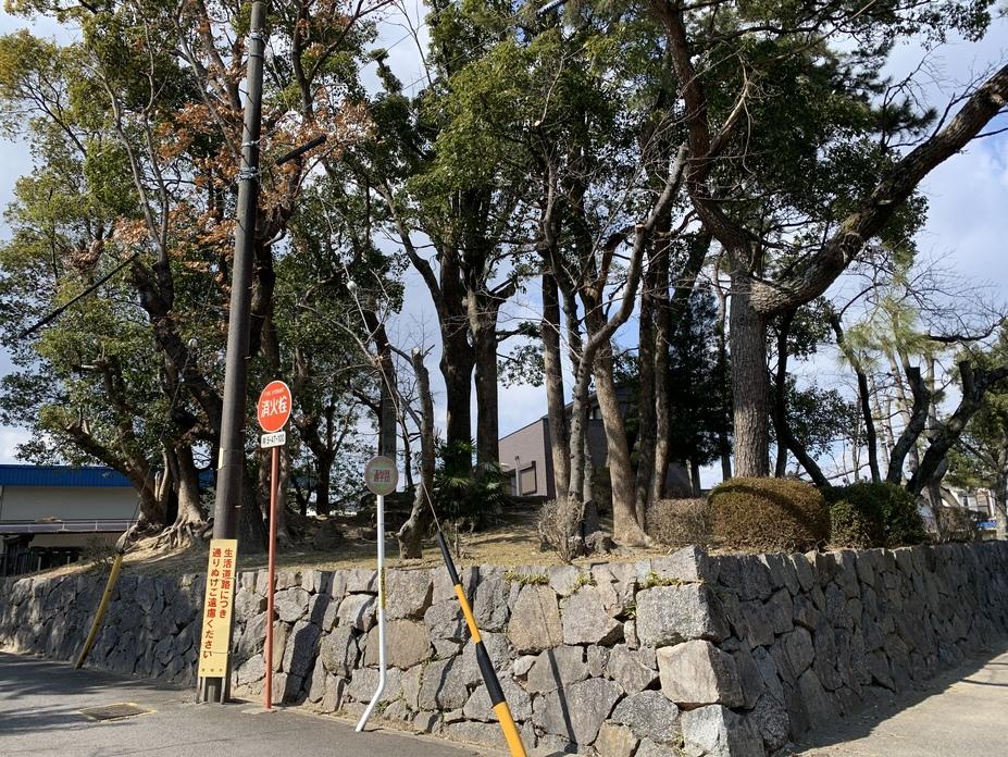 桜井城