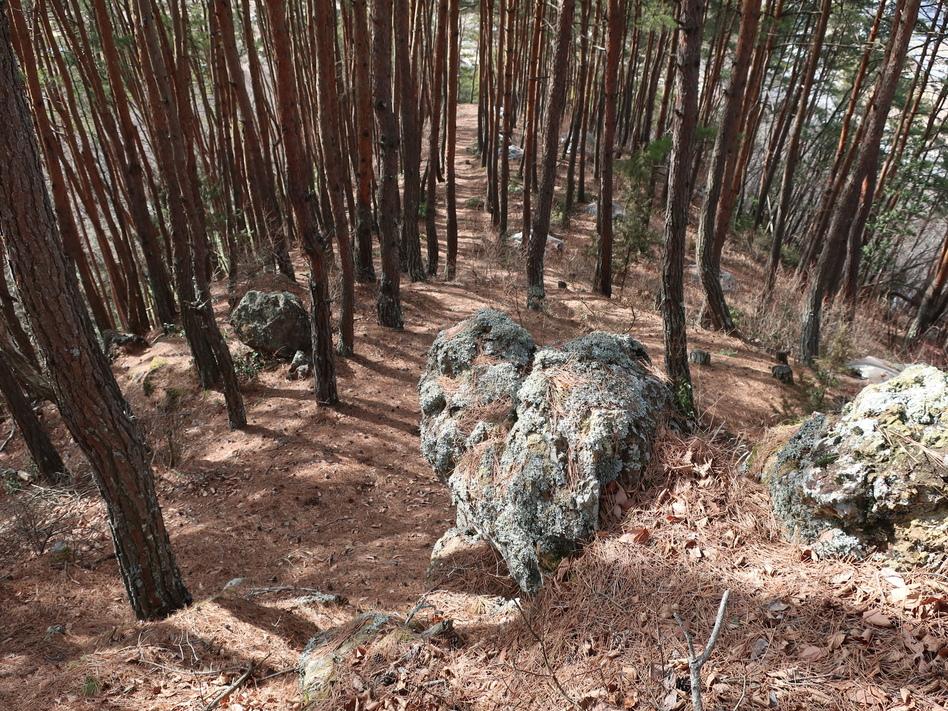 長窪城