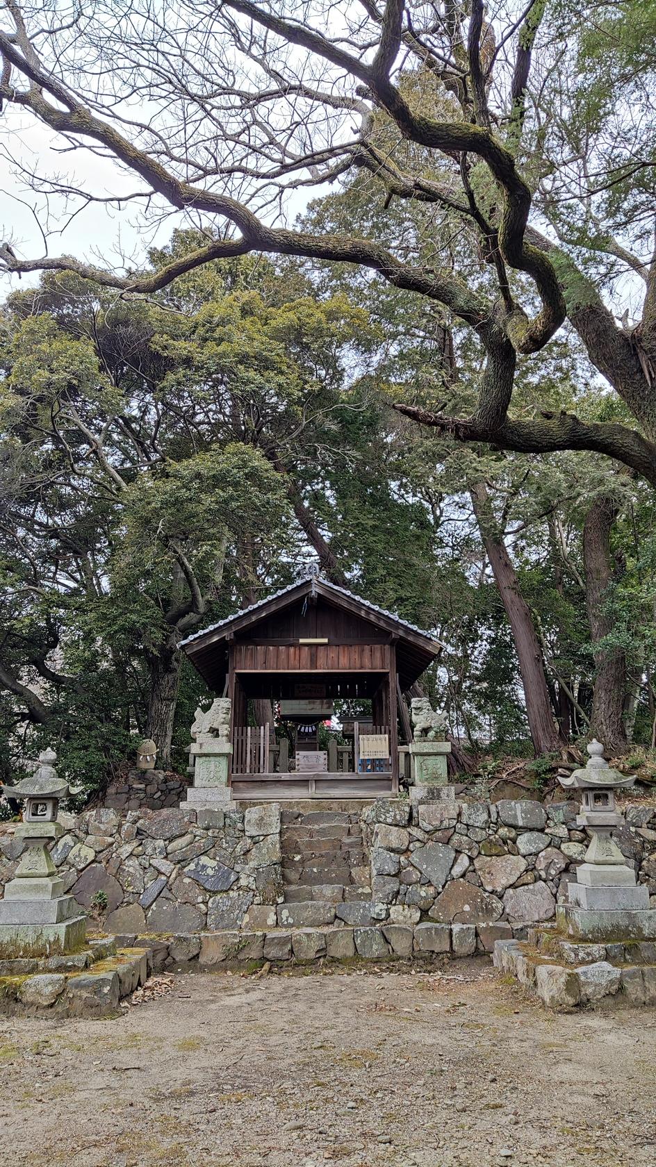 入尾城
