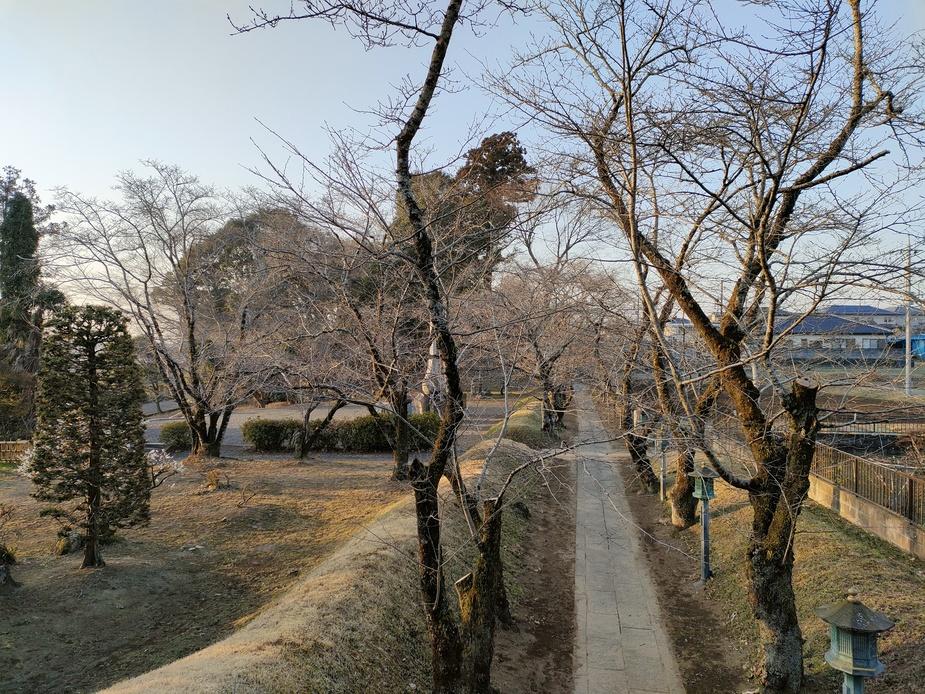 伊佐城