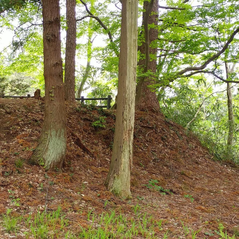 赤田城