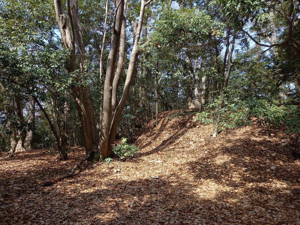 浄福寺城