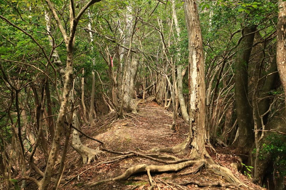 檜ヶ山城