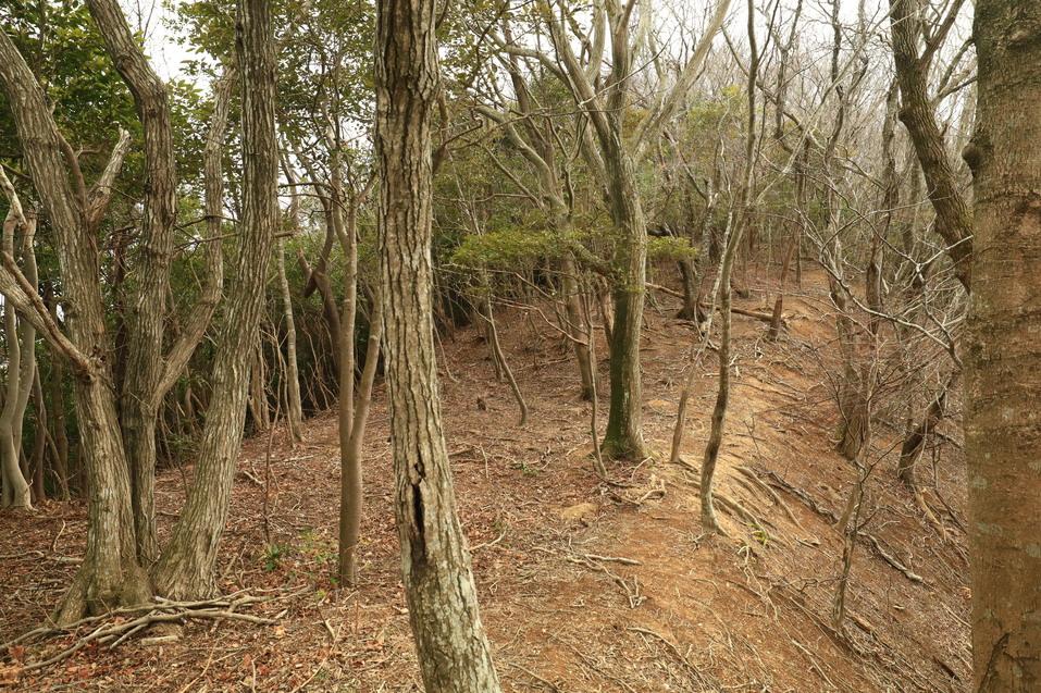 檜ヶ山城