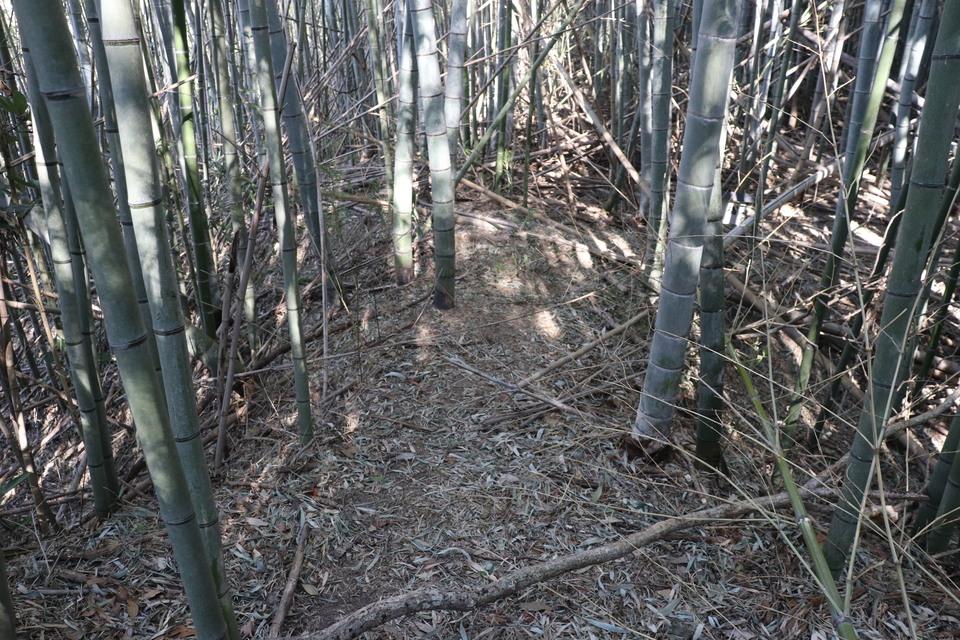 稲村城