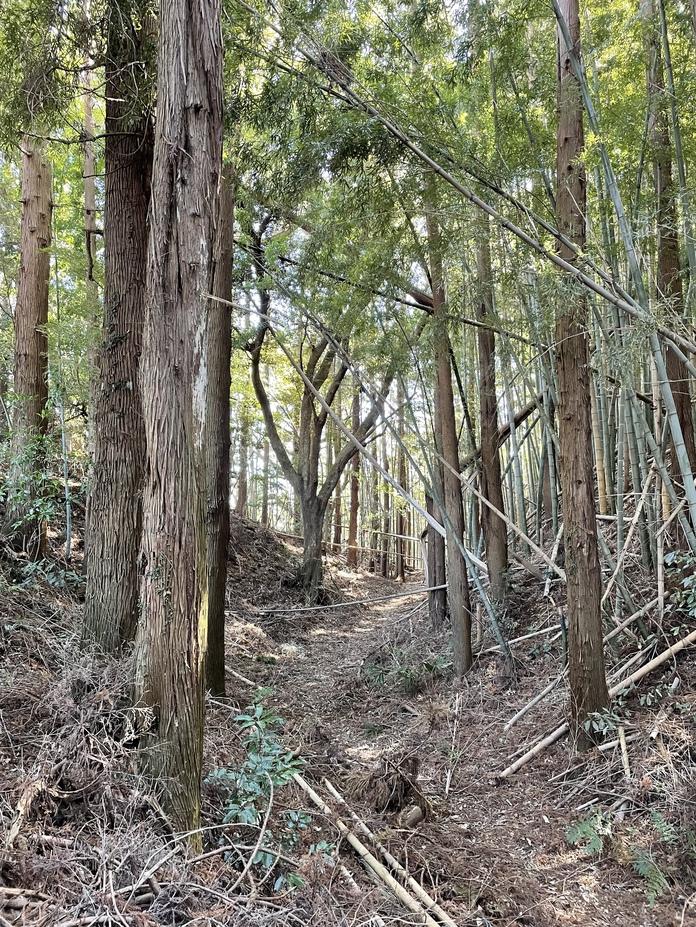坂田城