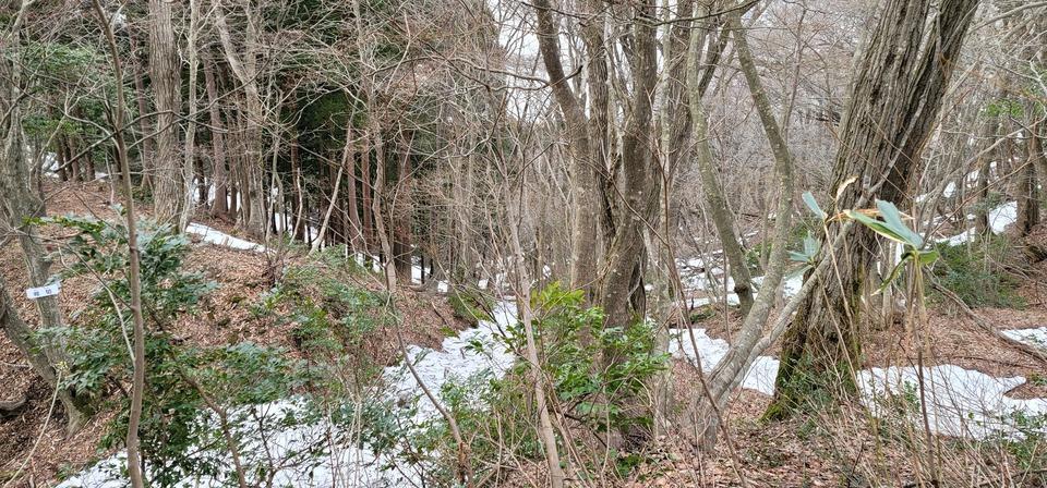 戌山城