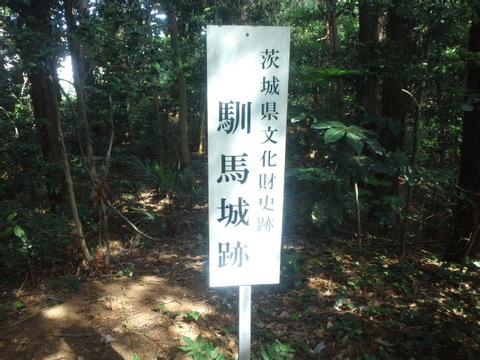 馴馬城