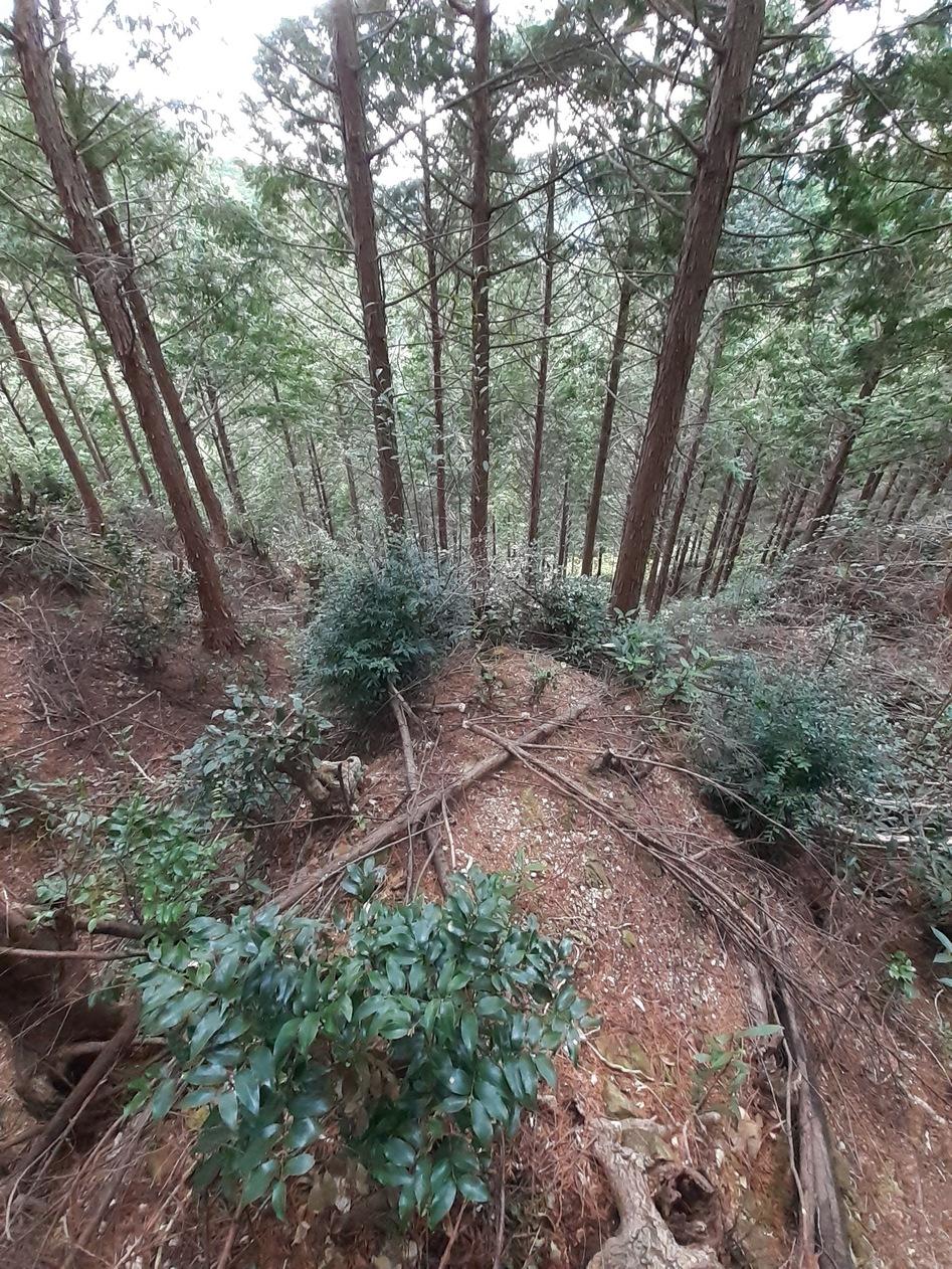 久礼城