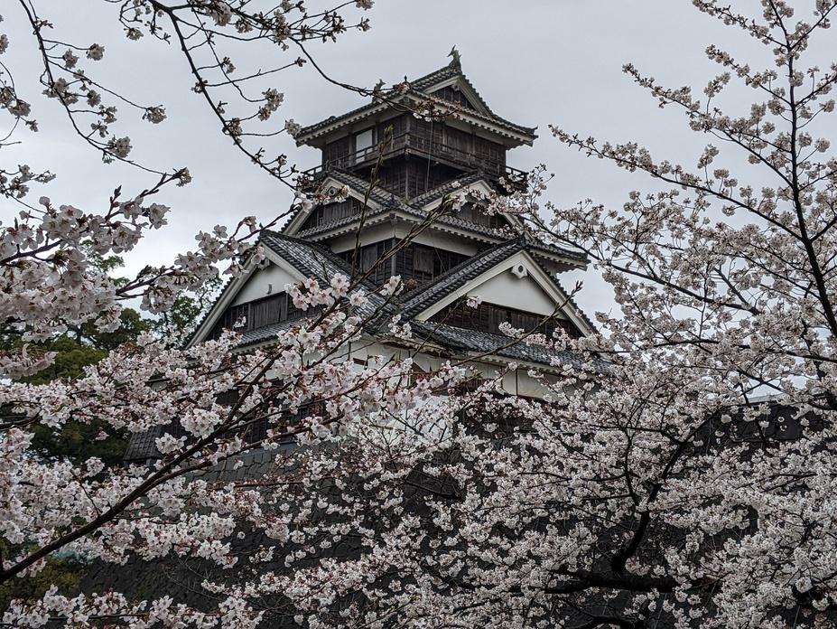 熊本城