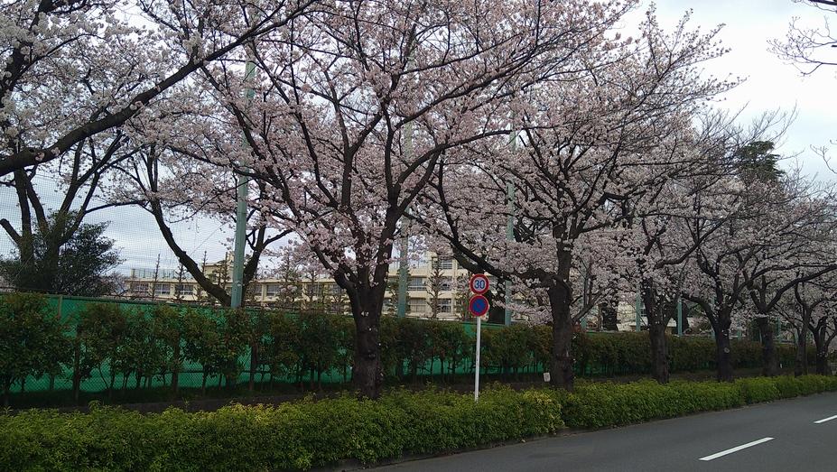 右馬頭屋敷