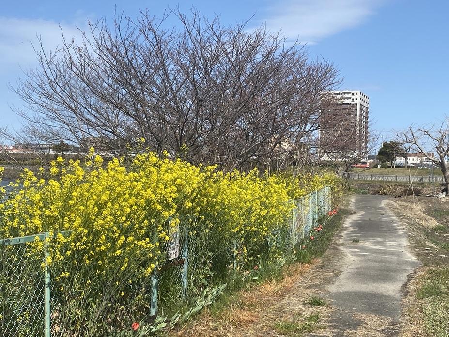 大野城