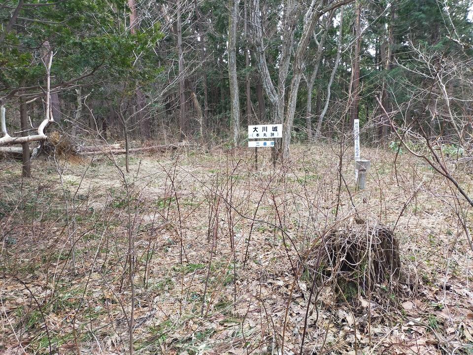 大川城