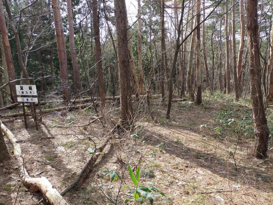大川城