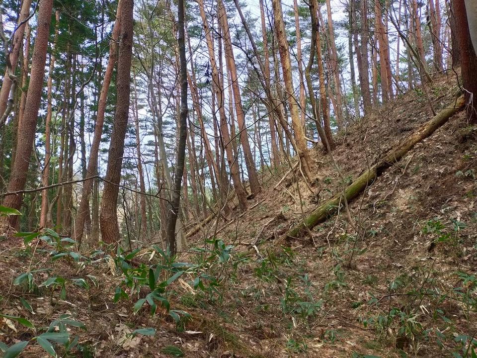 大川城