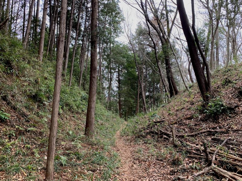 滝山城