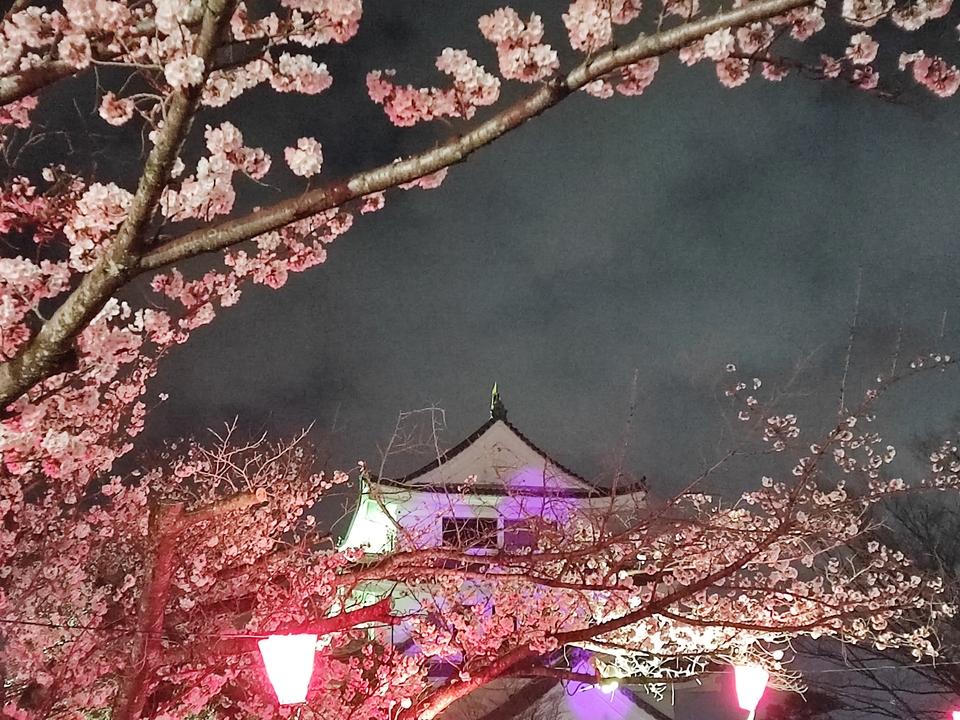 新居城