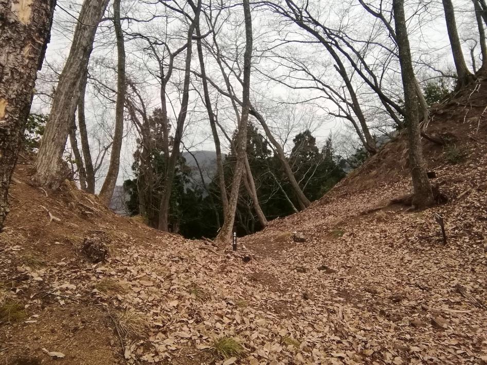 鎌刃城