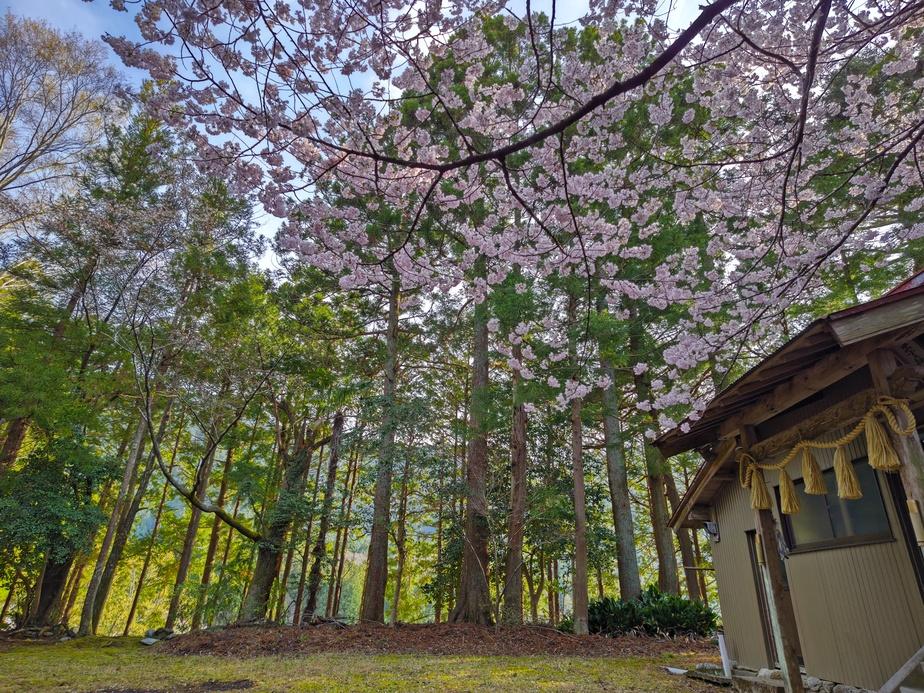 上山城