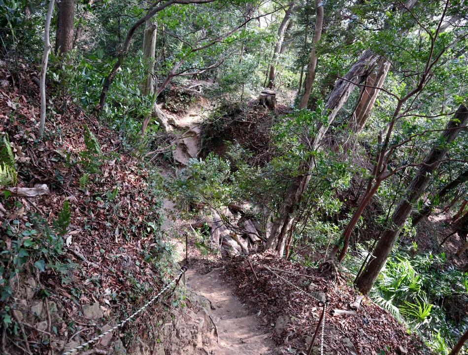 賤機山城