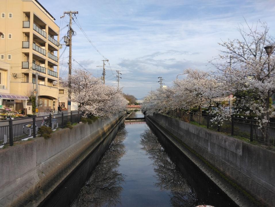 堺城