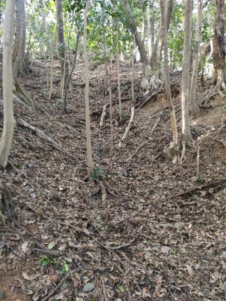 岡崎山砦