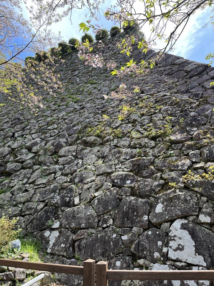延岡城