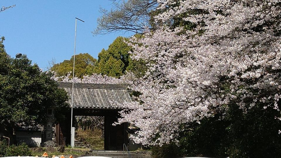 緒川城